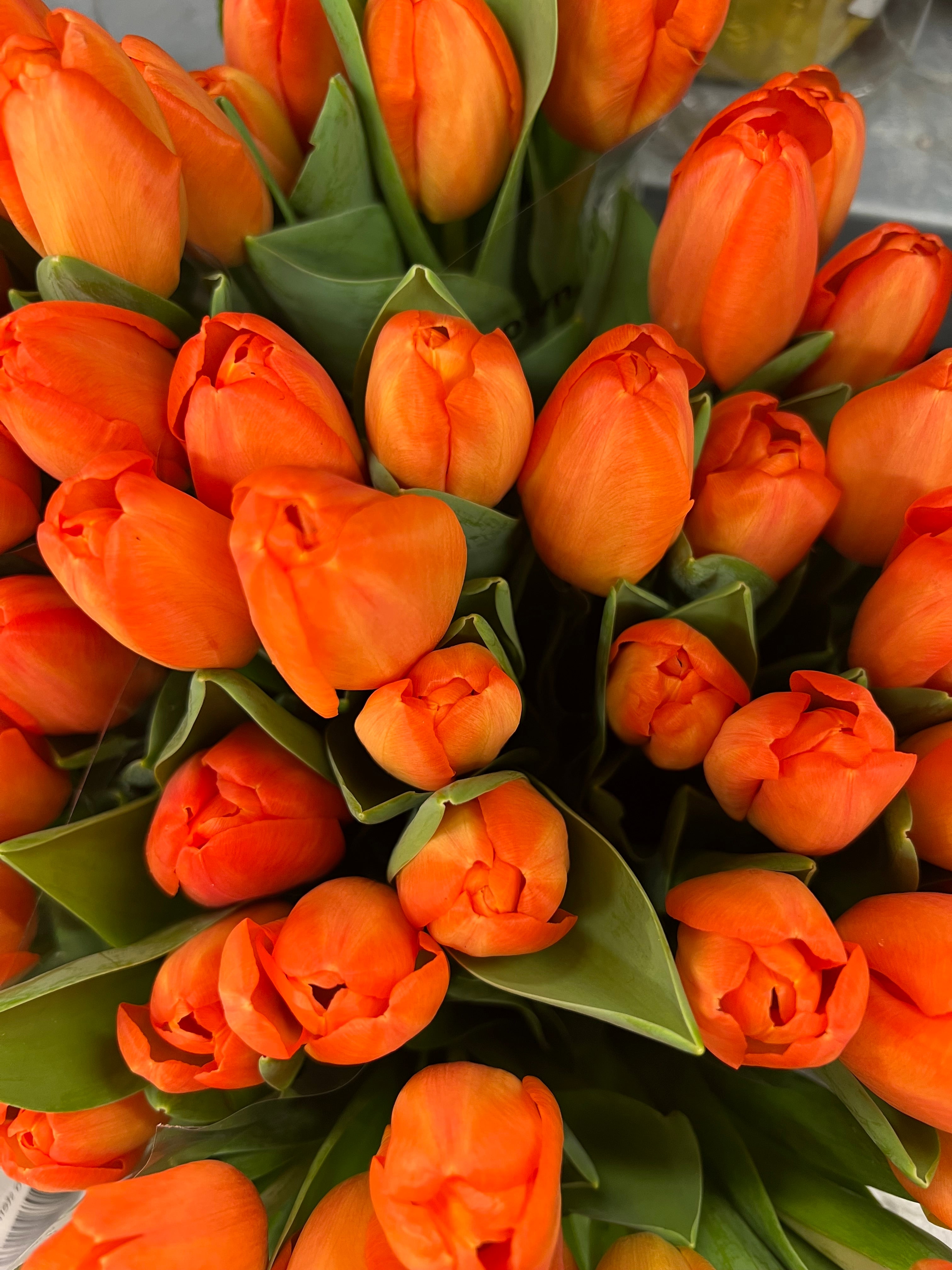 Fresh Tulips Bouquet