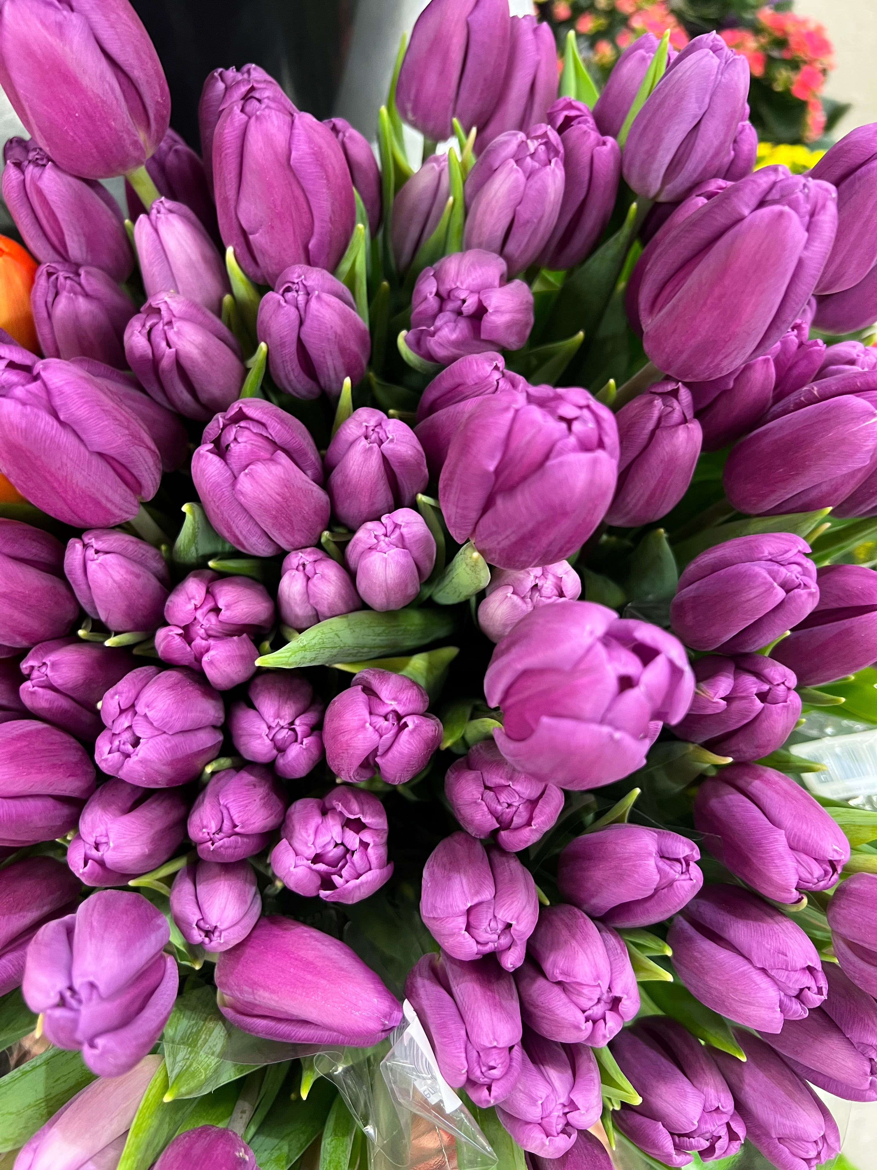 Fresh Tulips Bouquet